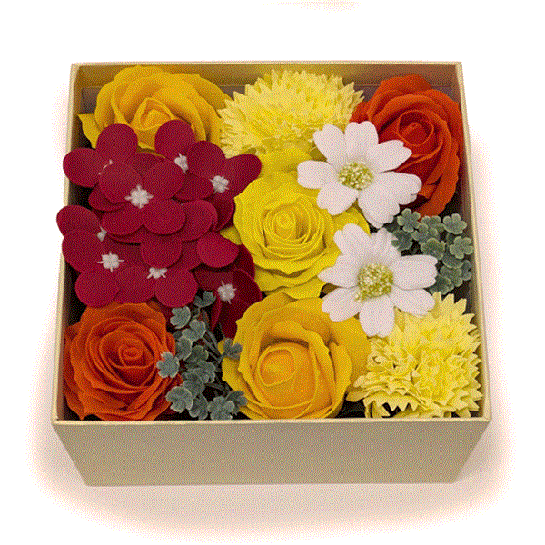 �y�f�R�[���t�����[�z�V���{���t�����[BOX �@�C�G���[