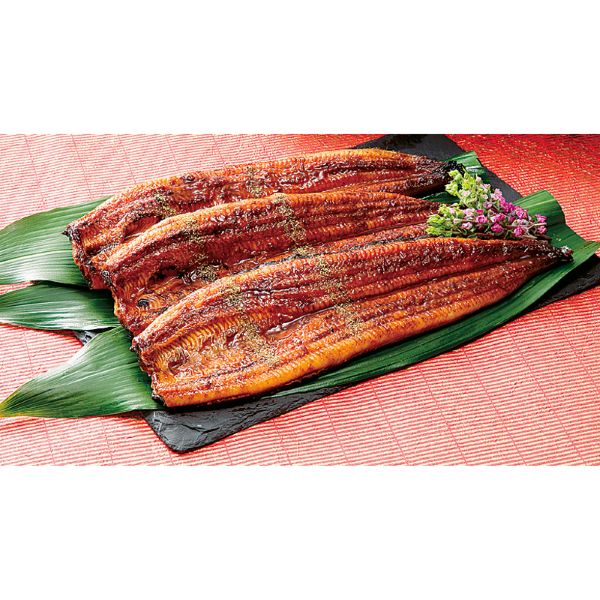 <7月以降お届け>宮崎「鰻楽」九州産うなぎ蒲焼<産直・送料込み>