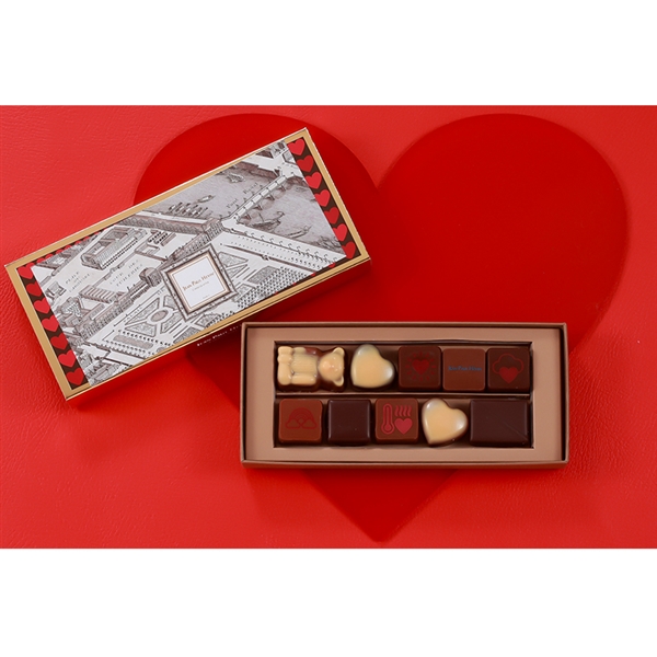 �y�W�������|�[���E�G���@���z�{���{�� �V���R�� 10�� �N�[�� �h�D �p��