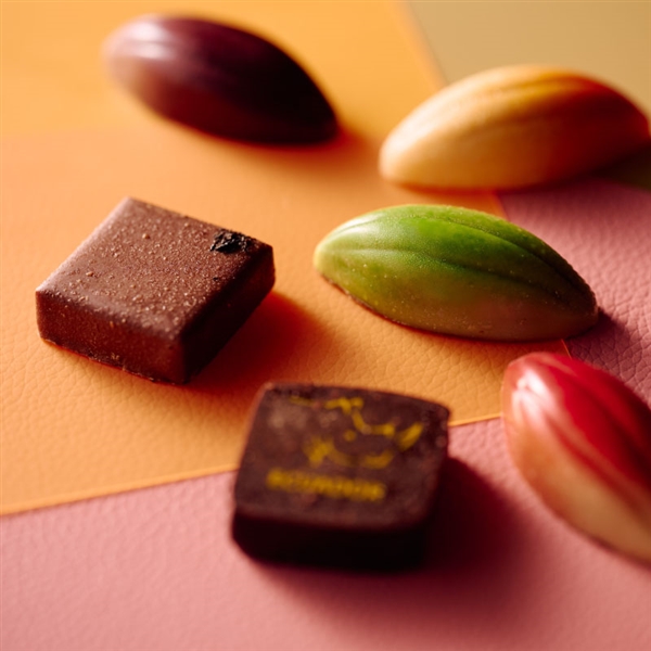 �y�G���}���E���@���e���_�[�z�V���R���A�\�[�g�i8�����j