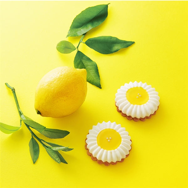 完売＞【キツネとレモン】レモンフラワー＆イチゴフラワー（6個入