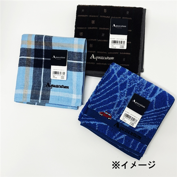  �y�A�N�A�X�L���[�^���z�a�m�p�^�I���n���J�`�i�n���J�`���܂����ցj