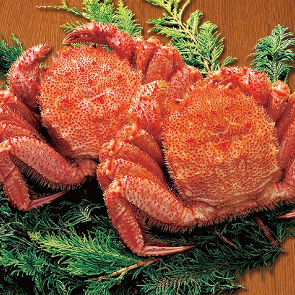 01.【札幌蟹販】北海道産ボイル毛ガニ<冷凍便>(産直・送料込)