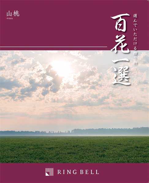 <弔事のお返しに>【百花一選】カタログギフト 山桃(やまもも)