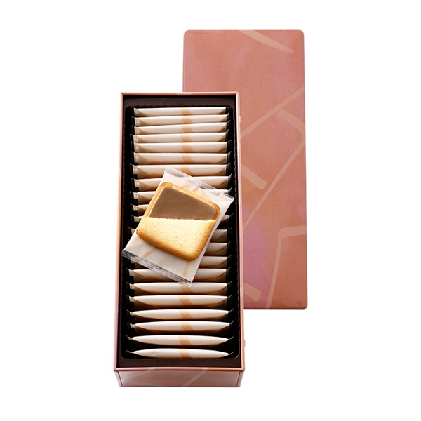 �y���b�N���b�N�z�h�D�[�u�� �V���R���I���i22������j���퉷�ց�