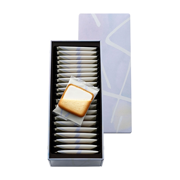 �y���b�N���b�N�z�h�D�[�u�� �V���R���u�����i22������j���퉷�ց�