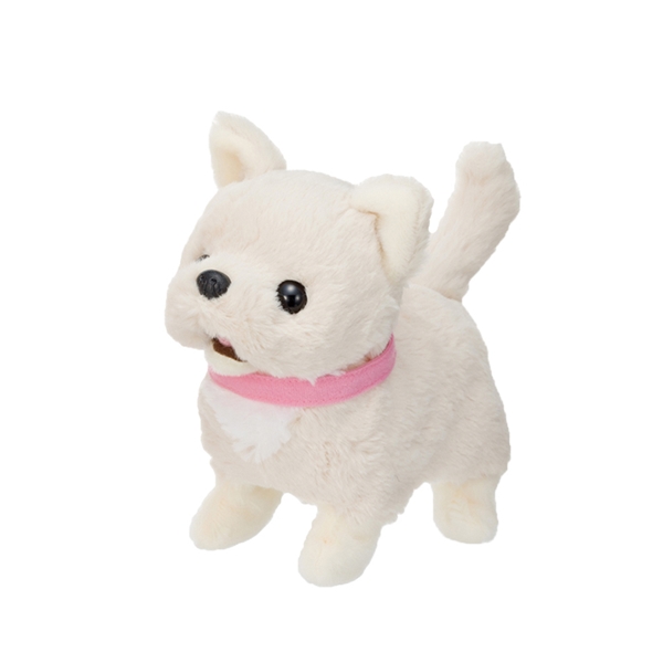 いっしょにあそぼう チワワのみるく