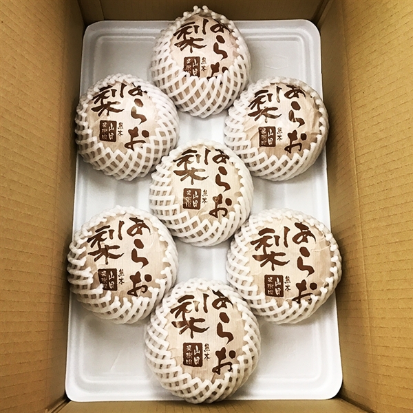 熊本産 新高梨<常温便>(〜10/15までの承り)