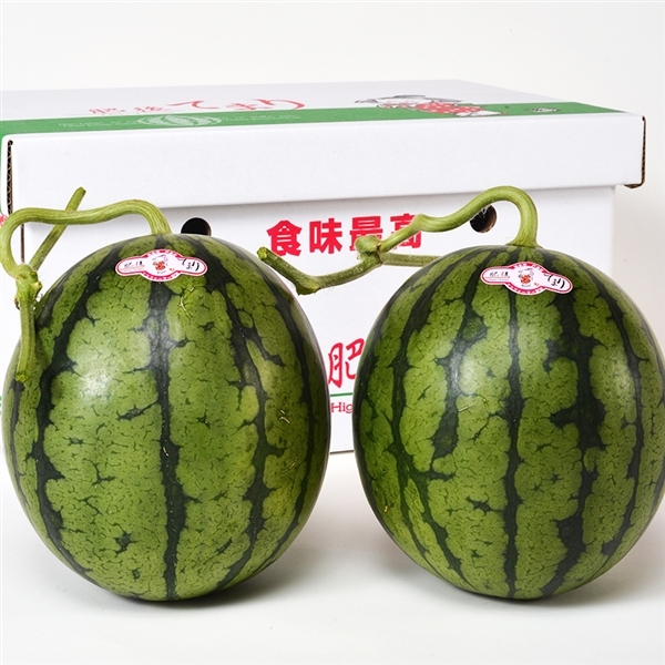 熊本県産 肥後てまり(小玉すいか)2玉