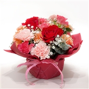 �y�f�R�[���t�����[�z�A�����W�����g�i���ԁj���①��