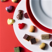 �y�s�G�[�� �}���R���[�j�z�R�t�� �h�D �R�R�� 6����