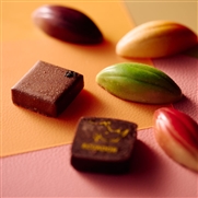 �y�G���}���E���@���e���_�[�z�V���R���A�\�[�g�i8�����j