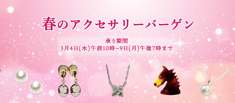 �t�̃A�N�Z�T���[�o�[�Q��