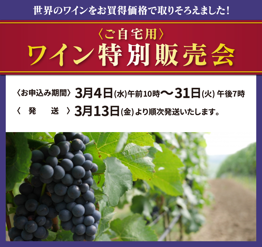 ������p���C�����ʔ̔���