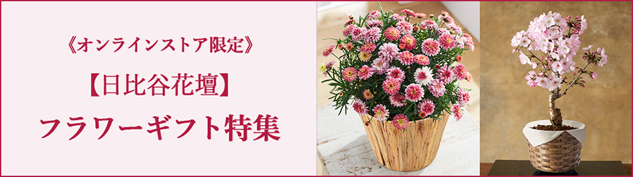 �y����J�Ԓd�z�t�����[�M�t�g���W