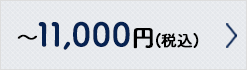 �`11,000�~�i�ō��j