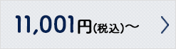 11,001�~�i�ō��j�`