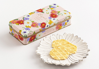 ���������E���ԗ�