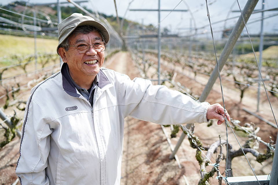 熊本ワインで農業指導を務める顧問の渡邊和敏さん