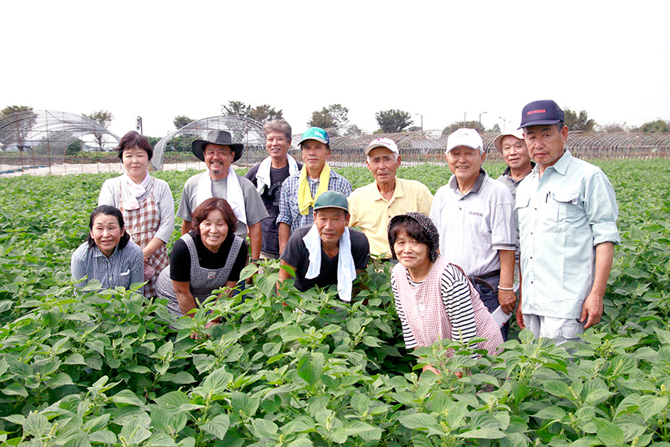 きくちのえごま油 の菊池えごま生産研究会 100 熊本百貨店