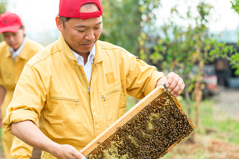 有限会社西岡養蜂園の代表取締役西岡千年さんの画像