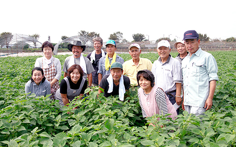 きくちのえごま油 の菊池えごま生産研究会 100 熊本百貨店