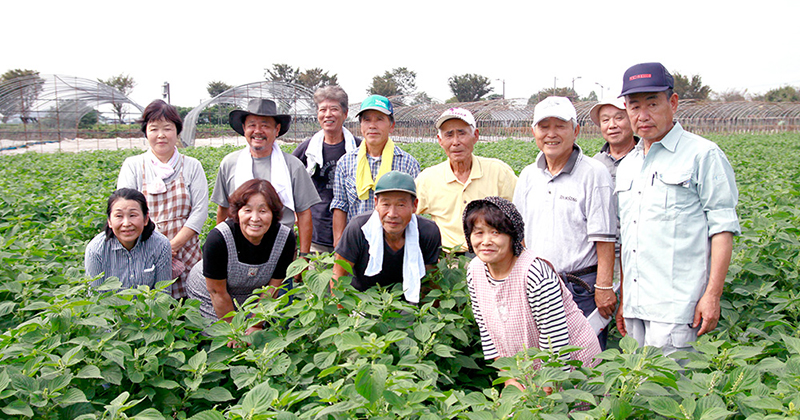 きくちのえごま油」の菊池えごま生産研究会｜100％熊本百貨店