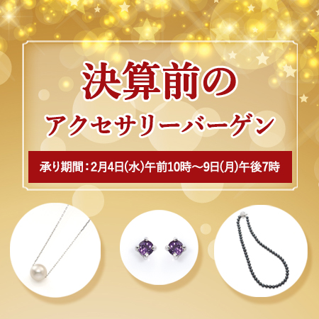 �A�N�Z�T���[�o�[�Q��