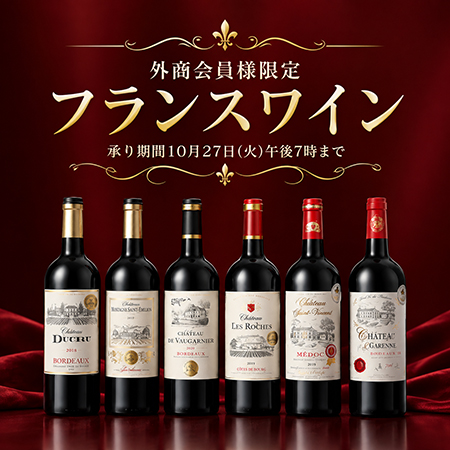 �O�������ӗl�t�����X�W���C�����\��̔���