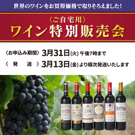 ������p���C�����ʔ̔���